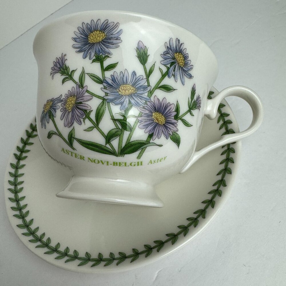 PORTMEIRION Botanic Garden Teacup & Sauser Collection "Aster"